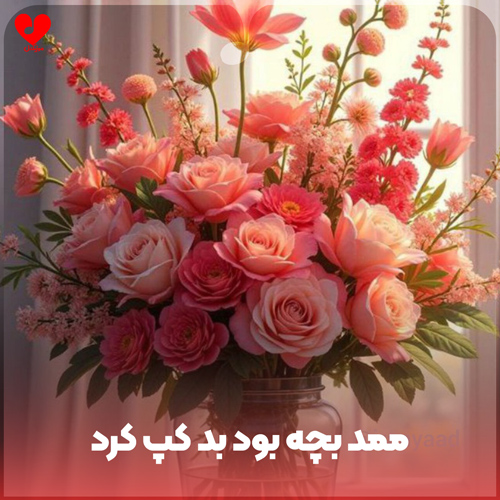 دانلود آهنگ ممد بچه بود بد کپ کرد از محمد